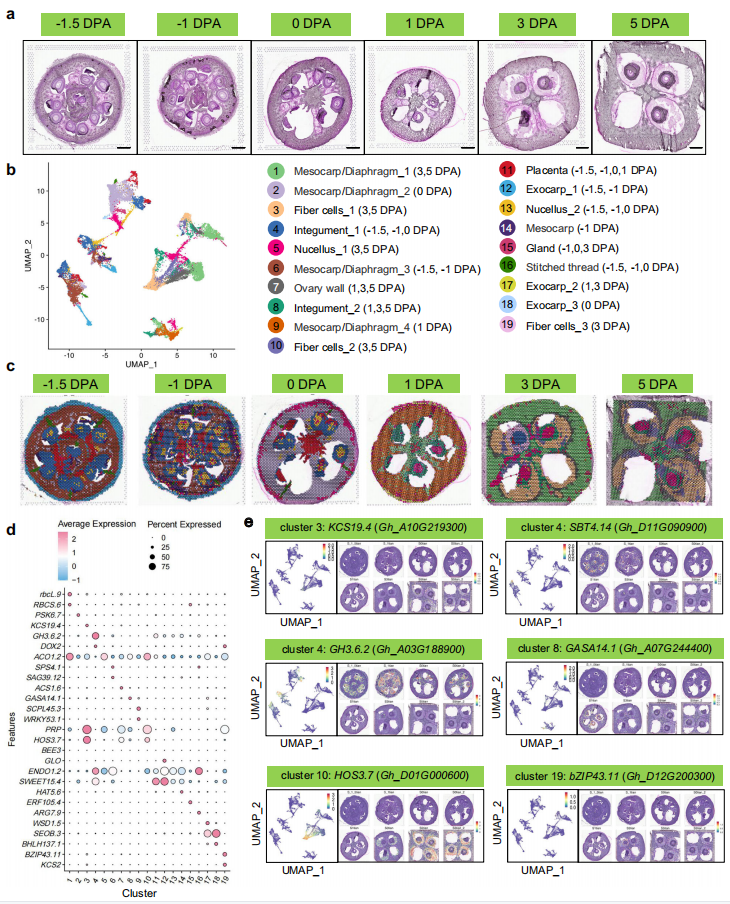 1755445664611439.png 圖2.png