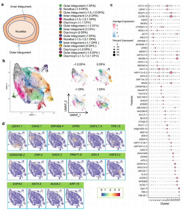 1755445694479294.png 圖3.png