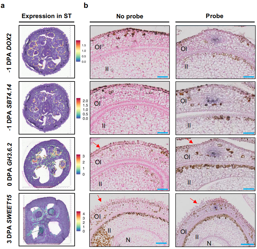 1755445875214469.png 圖7.png