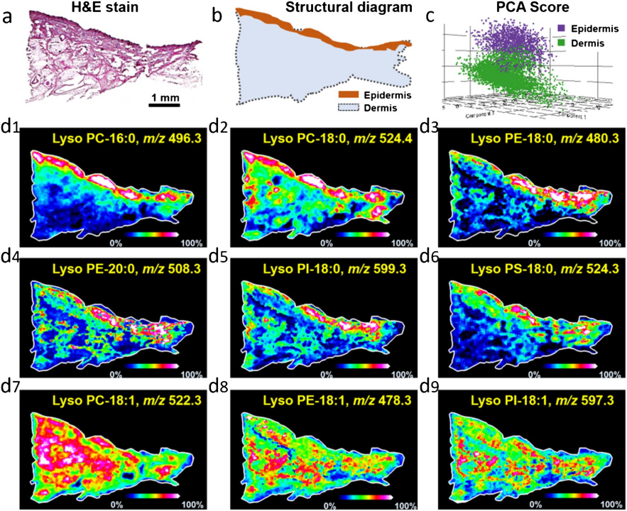 1756459965236810.png 1圖片1.png