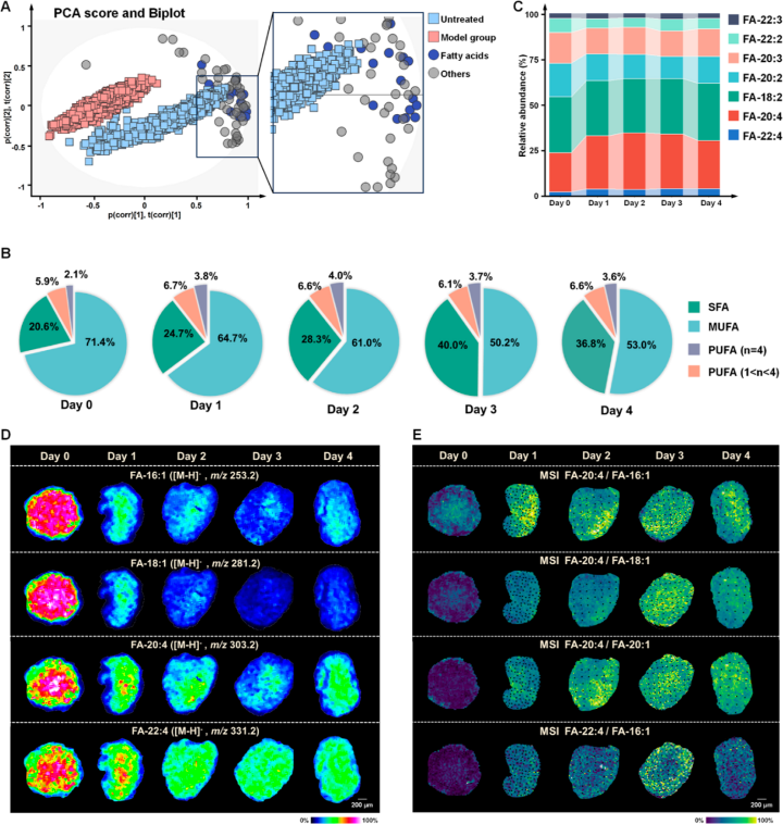 1756460245892095.png 1圖片111.png