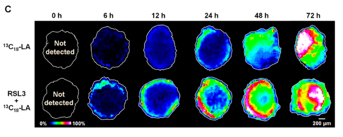 1756460254304317.png 1圖片1111.png