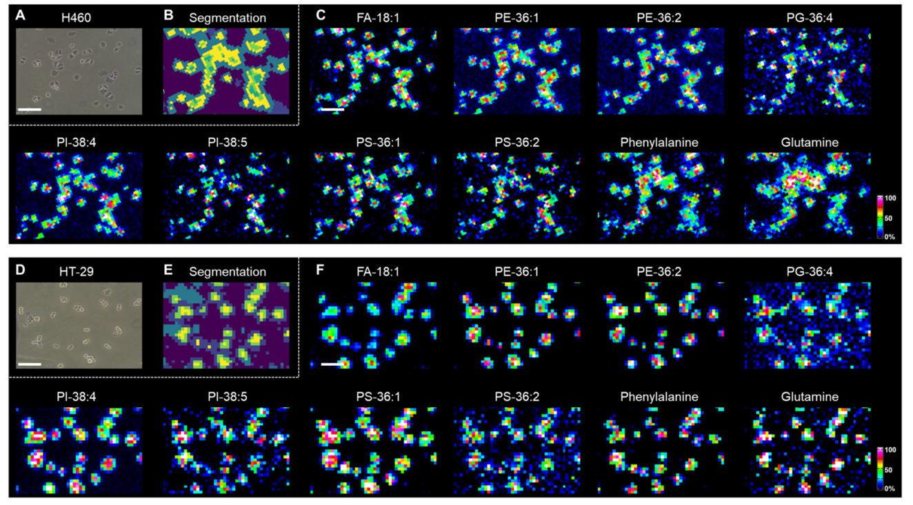 1756460480657761.png 1圖片111111.png