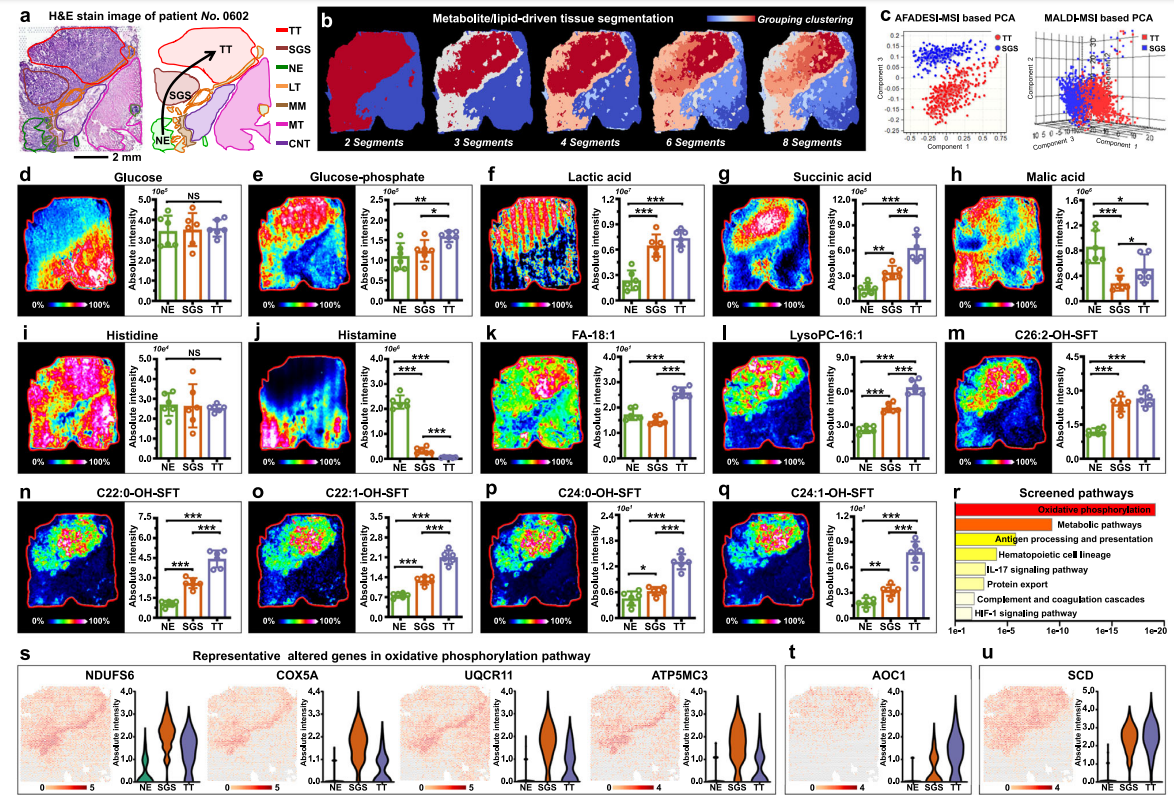 1756645909702900.png 按照(zhào).png