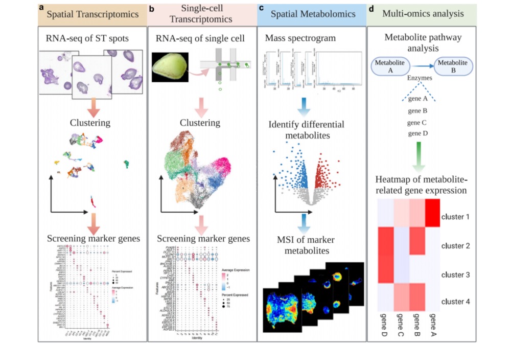 1756650419207115.jpg 1756647830369.jpg