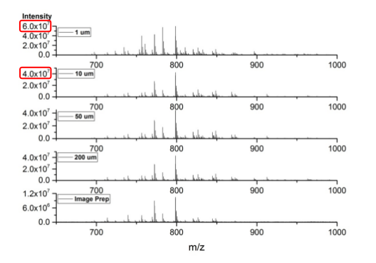 1756824330429990.png 1756460784704129.png