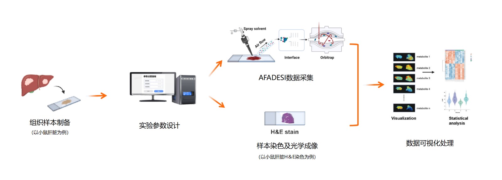 1756825766124324.jpg AFADESI實驗流程_02.jpg