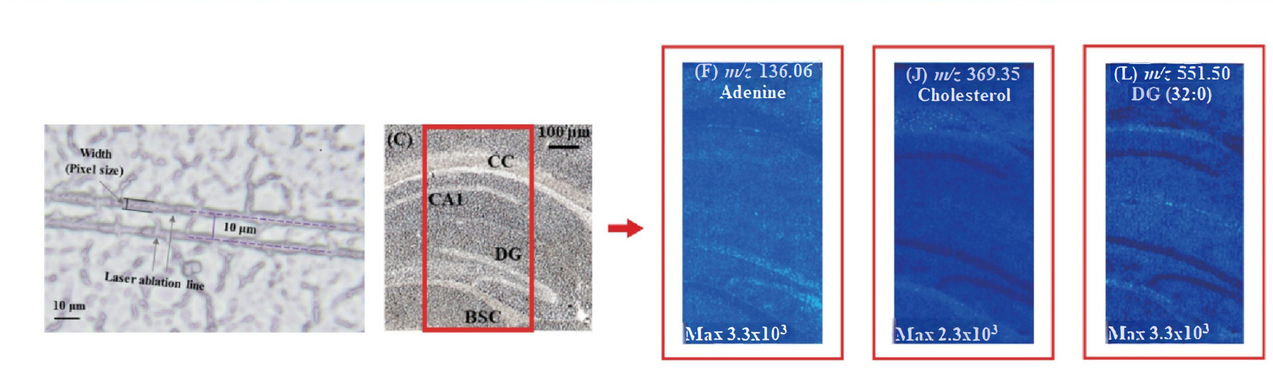 1759199616614276.png 1.png